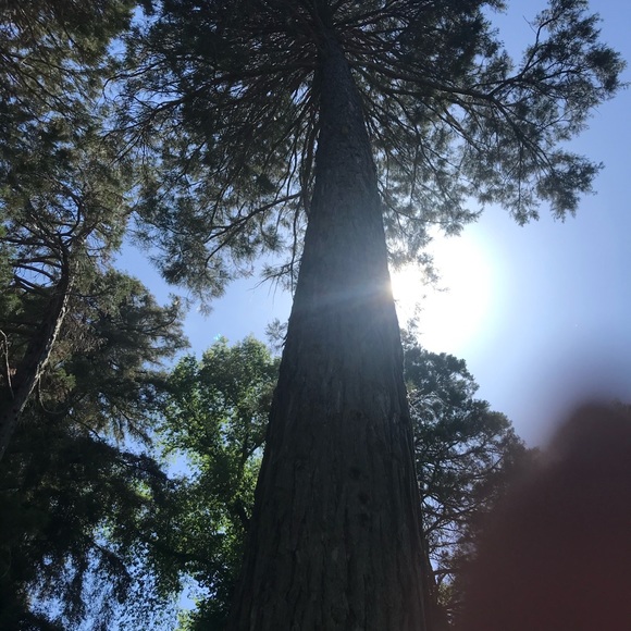 Photos - Picture 7 of 11